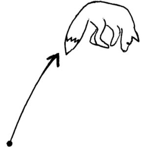 AgileFox strategie
